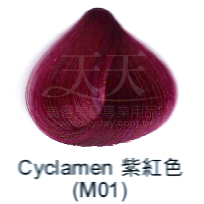 果酸彩色染護霜85ML(M01)紫紅色